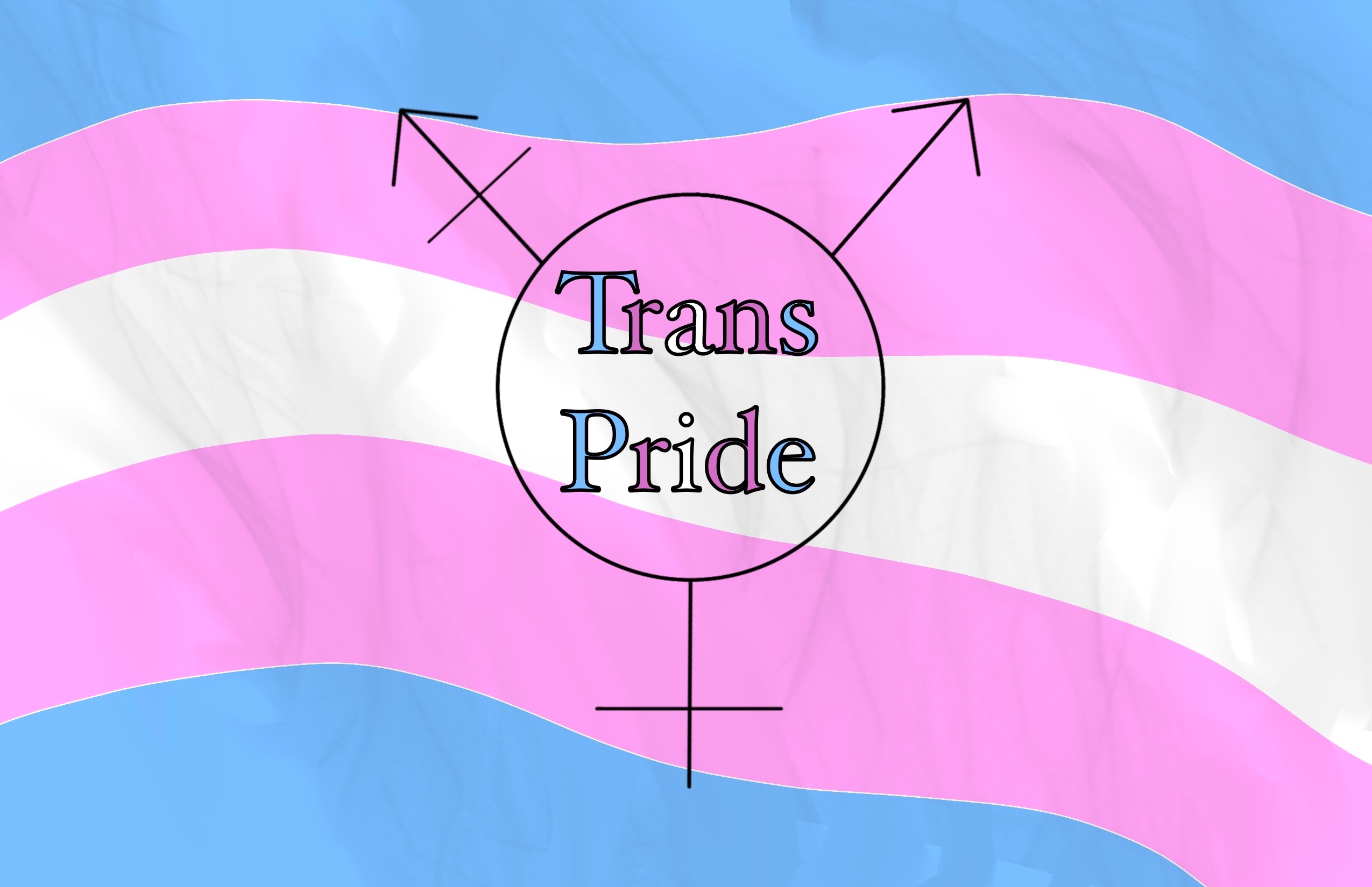 Trans Pride Banner Drawing